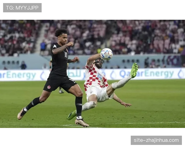 克罗地亚格瓦迪奥尔回归 达利奇后防选择增多